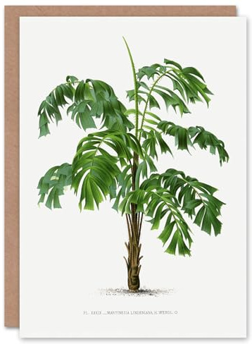 Artery8 Oswald de Kerchove Art Card Martinezia Lindeniana Palm Tree