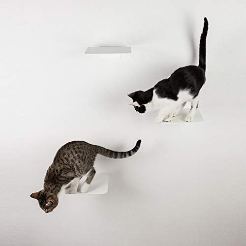 LucyBalu® Steps Katzentreppe Wand Innen & Außen 3er Set | Katzen Kletterwand | Wandpark für Katzen bis 7kg | Katzenleiter | Anti-Rutsch Beschichtung | 3 Stufen | Wandbefestigung | 18 x 18 cm Weiß