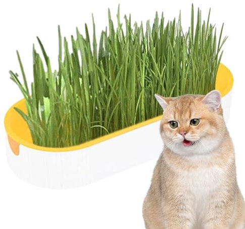 Cat Growing Kit - Pet Digestion Food, Cat Grass Snacks | Cat Grass Bowl Planter Tray, Digestion Pet Food for Indoor Nursery Balcony Indoor Nursery Balcony Patio, White, 21x9.2x4.5cm