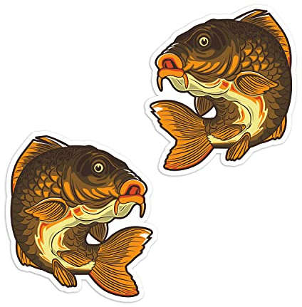 2 x 10 cm Karpfenfische Vinyl Aufkleber – Süßwasser Angeln Aufkleber #70617