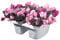 Bama 30232 Klunia doppiamente Regolabile, fioriera da Balcone con Serbatoio d' Acqua, Crema, 40 x 19.8 x 18.5 cm