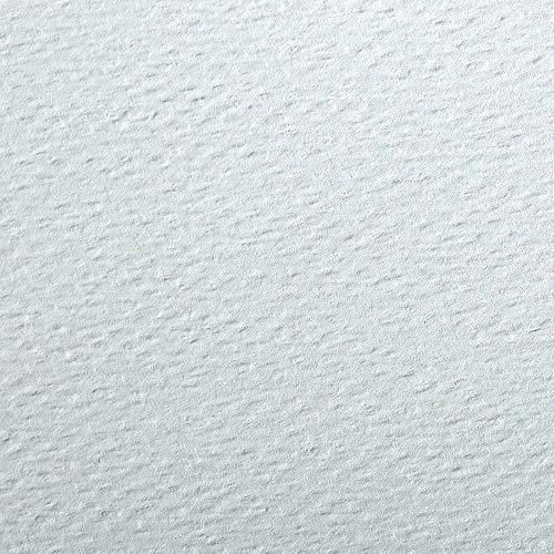Clairefontaine 93894C Packung (mit 25 Bögen Zeichenpapier Etival Color, DIN A4, 21 x 29,7 cm, 160g, gekörnt, ideal für Trockentechnik und Einrahmen) azurblau