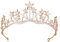 Vofler Star Headband Crown, Gold Tiara Headband Headpiece Crystal Rhinestone Hair Jewelry for Women Ladies Girls Bride Princess Birthday Wedding Pageant Prom Homecoming Halloween Costume Party