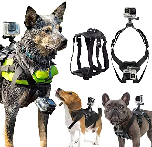 Hundegeschirrhalterung Für Gopro, Weiches Und Verstellbares Geschirr Für Große, Mittlere Und Kleine Hunde Zur Brust- Und Rückenfixierung, Geeignet Für Alle Modelle Von Für Gopro Hero