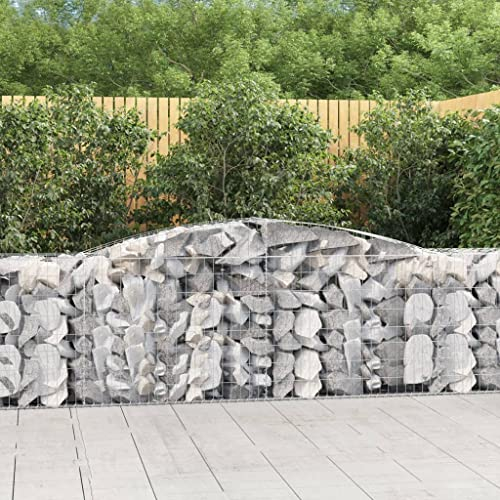 WHOPBXGAD blumentopf,blumentopf Gross,blumentöpfe,Gabionen mit Hochbogen 7 STK. 400x50x80/100cm Verzinktes Eisenpflanzkübel groß außen,blumentopf hoch,pflanzkübel,