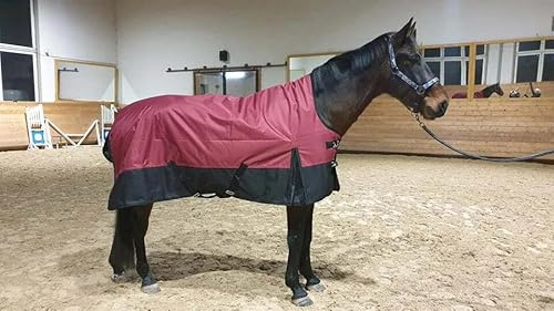 Pferdedecke Winterdecke 1200D Highneck 150g 115, 125, 135, 145, 155 cm (Kastanienbraun, 145 cm)