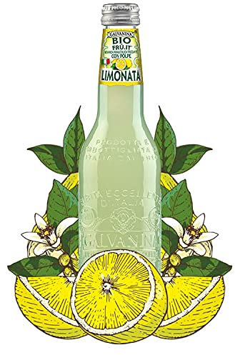 GALVANINA - 12 X LIMONATA in vetro 335ml | Bibita BIOLOGICA prodotta in Italia