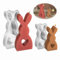NSXIN 2 Stück Ostern Kaninchen Silikonformen, 3D Osterhase Gießformen DIY Handwerk Backform, Ostern Hasenform Kerzenhalter Epoxidharz Formen für Kuchen, Schokolade, Seife, Ostern Deko (Stil A)