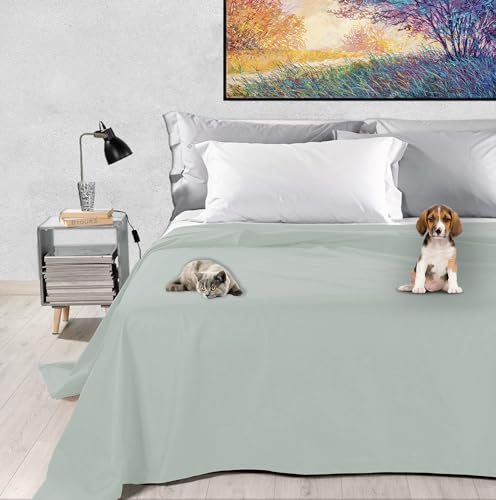 Byour3 – SUPER wasserdichte Tagesdecke Baumwolle Fleckenbeständig Doppel Bettschutz Einzelbett Queen Size Anti-Tierhaar Anti-Schimmel Katzen Hunde Haustiere Kinder Waschbare (Eisgrau, Doppelbett)