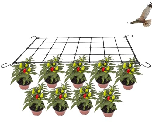 Wachsen Zelt Netz, 60x90 cm Pflanzennetz Elastische Ranknetz Für Kletterpflanzen Gartennetze Mit 4 Haken Ranknetz, Kletterpflanzen Pflanzennetz Für Gurken, Tomate, Obst