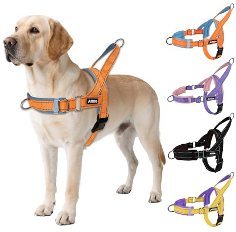 AIITLE Anti-Zug-Hundegeschirr verstellbar gepolstert, Orange-Blau L | Reflektorstreifen, Schnellverschluss, verstellbar, für Welpen & alle Hunde, Training, Spazieren, Laufen, sicher