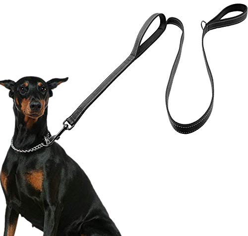 AVANA Hundeleine mit integriertem Kurzführer reflektierende Leine | 2 handschonende gepolsterte Handschlaufen | 1,5 Meter Führleine für große und mittelgroße Hunde - Schwarz