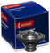 DENSO DTM77614 Termostato Motore
