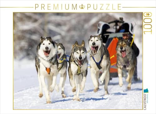 CALVENDO Puzzle Der Musher duckt Sich in seinen Schlitten um die Last für Seine Hunde zu verringern | 1000 Teile Lege-Größe 64 x 48 cm Foto-Puzzle für glückliche Stunden