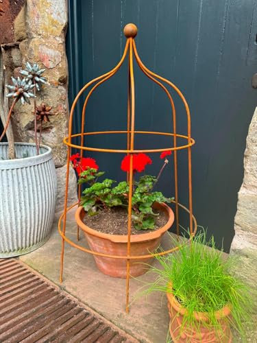 Large Gothic Lobster Cage, Rustic Metal Plant Support, Rusty Garden Gothic Shape Lobster Frame, Crawling Plant Support, Plant Trellis, Peony Cage, Garden Art Decor, Plant Frame H98cm