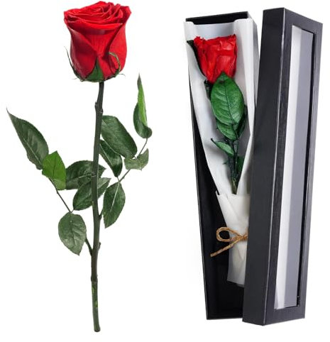 Rosa Stabilizzata Rose Vere Eterne Rosse Scatola Regalo Infinity Regalo di Rose Stabilizzate Con Steli Rosa Eterna Regalo Perfetto per Mamma, Fidanzata, Moglie E Nonna