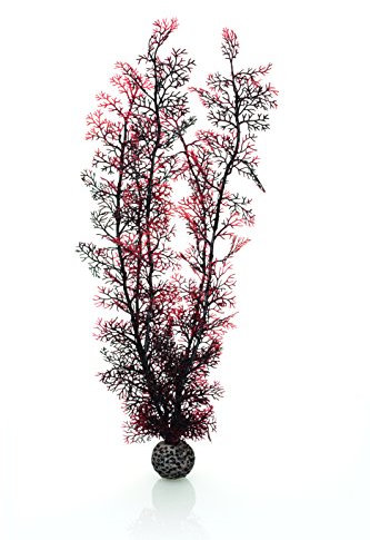 biOrb Sea Fan, Extra Large, Crimson