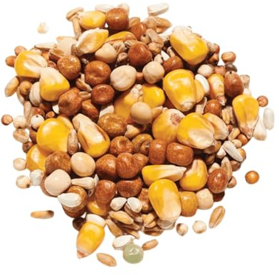 Countrywide All Seasons Pigeon Feed Mix 20 kg