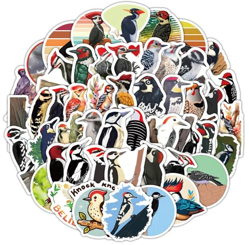 60Stück Specht Aufkleber für Gitarre,Fahrrad,Gepäck,Laptop, Fahrrad,Stoßstange,Auto,Motorrad,Wasserdichte Vinyl Niedliche Vogel Stickers,Geschenk für Mädchen Erwachsene,Ästhetische Tiere Aufkleber