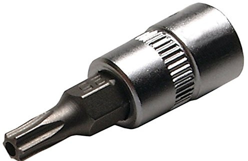 SW-Stahl TEM/4-T25 T-Profil-Einsatz 1/4 Zoll, T25 mit Stirnlochbohrung | Schraubendreheinsatz aus Chrom-Vanadium-Stahl, TR-Profil TR25, matt verchromt, 38 mm Länge, 6,3 mm Vierkant-Antrieb