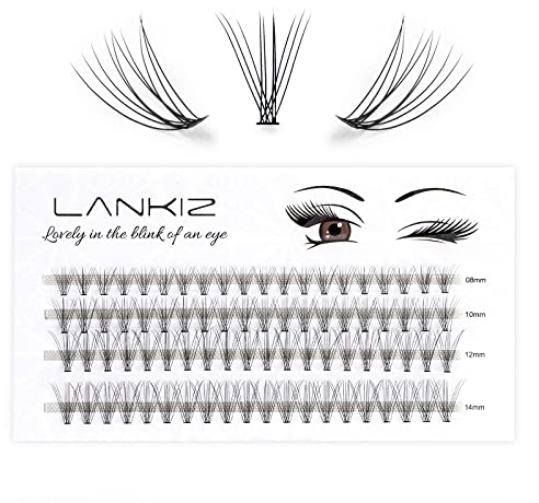 LANKIZ Einzelne Wimpern 10D 0.07 C Curl 8-14mm Falsche Wimpern Extensions für Wimpernverlängerung, 80 Pcs Cluster Lashes DIY Künstliche Wimpern Einzeln Fake Lashes zu Hause