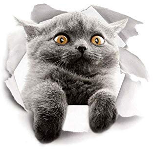Pulabo Autocollant décoratif pour abattant de toilettes Motif chat mignon