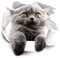 Pulabo Autocollant décoratif pour abattant de toilettes Motif chat mignon