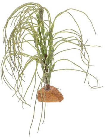 ERINGOGO Künstliche Reptilienpflanzen Terrarium-Dekoration Naturgetreues Kunststoffmaterial Für Bartagamen Geckos Chamäleons Einfacher Aufbau Und Wartung Robuste Dekoration Für Reptilienbec