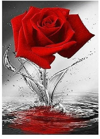 Quadro su tela di arte moderna Poster di fiori di rose rosse Decorazione della camera da letto Immagine di rose Decorazione della parete del divano Quadro in bianco e nero 70x100cm Senza cornice