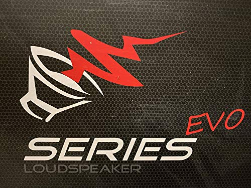 Audio System | SUBFRAME R 10 Flat Active | 25cm Reserverad Aktiv Subwoofer