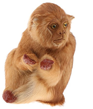 Netter Dekorativer Statue AFFE Setzte Garten Oder Gehweg Dunkelheit U, Dunkel