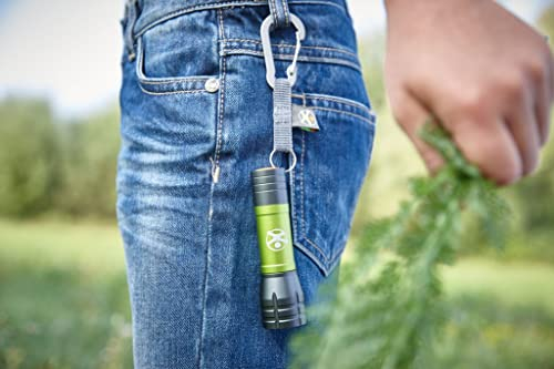 HABA Display Terra Kids Mini-Taschenlampen (16 Stück.): 16 Stück.
