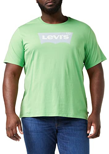 Levi's Men's Graphic Crewneck Tee T-Shirt, Batwing Logo Peppermint, S