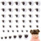 PH PandaHall 24 Paris 6 Sizes 3D Safety Eyes with Eyelashes Amigurumi Eyes Craft Eyes Semicircular Plastic Crochet Eyes for DIY Bear Plush Puppet Plush Toy Makingm, Blue, 8-18 x 8-18 mm