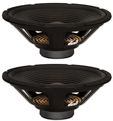 Goldwood Sound, Inc. Stage Subwoofer, OEM 12 Woofers 240 W cada 8 ohm Repuesto 2 Altavoces Set (GW-212/8-2)