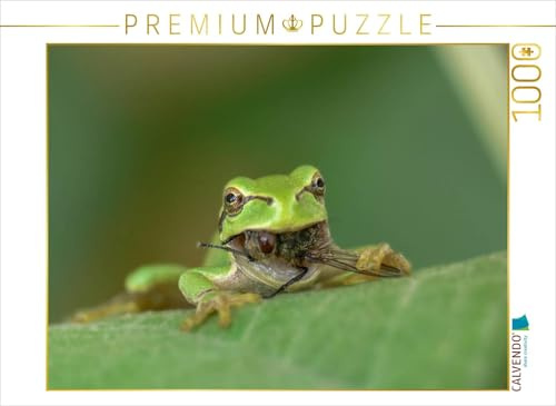 CALVENDO Puzzle Gib nie auf! 1000 Teile Puzzle quer | Lege-Größe cm Foto-Puzzle für glückliche Stunden