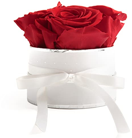 ROSEMARIE SCHULZ Heidelberg Rosenbox rund Infinity Rosen Rot - Blumenbox weiß 4 konservierte Rosen haltbar 3 Jahre Durchmesser ca. 10cm - Frauen Geschenk für Freundin (Small, Weiß-Rot)