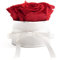 ROSEMARIE SCHULZ Heidelberg Rosenbox rund Infinity Rosen Rot - Blumenbox weiß 4 konservierte Rosen haltbar 3 Jahre Durchmesser ca. 10cm - Frauen Geschenk für Freundin (Small, Weiß-Rot)