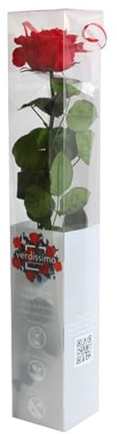 Générique VERDISSIMO Rose éternelle stabilisée Premium Tige 55cm Diamètre 6,5 à 8,5cm (Rouge)