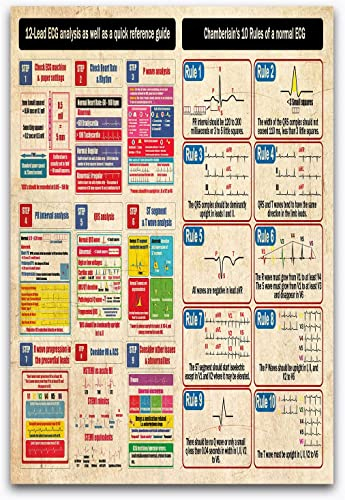 Metall-Blechschilder mit EKG-Wissen, 12 Ableitungen, EKG-Analyse sowie eine Kurzanleitung, Vintage-Poster, Schild „Leitfaden für Kardiologen, Plakette für Kardiologie, Klinik, Zuhause, Krankenhaus,