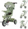 Chipolino Tricycle Marathon 2 in 1 Dreirad, Sitz umkehrbar, Gummiräder, Dach, Farbe:grün