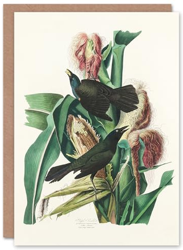 Artery8 John James Audubon Art Card Purple Grackle Crow Blackbird