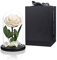 Preserved Rose White Roses in Glass Dome, Long Lating Rose Real Roses Never Withered Flower Gifts for Her, Valentine's Day, Mother's Day, Birthday, Christmas Medium