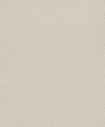 Rasch Tapeten Vliestapete (universell) Beige 10,05 m x 0,53 m Andy Wand 639629