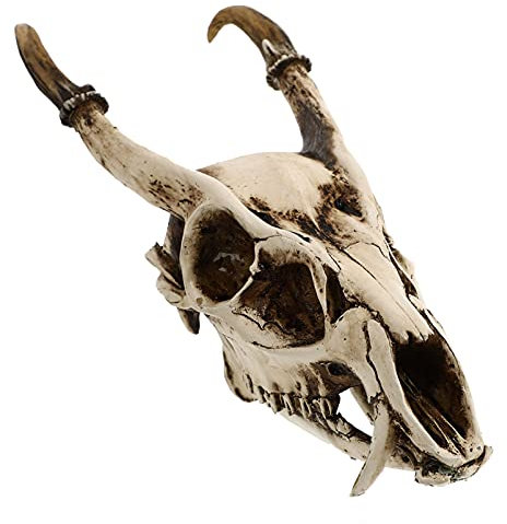 Artibetter 1pc Decorative Skull Shaped Resin Ornament Vintage Goat Skull Model for Home and Garden Decor Unique Halloween Festival Prop Sturdy and Realistic Design