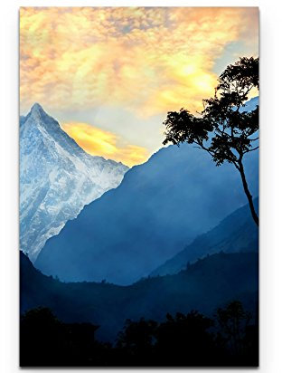 SIN-US 74 einsamer Baum am Himalaya, Nepal - Poster gerollt 90x60cm