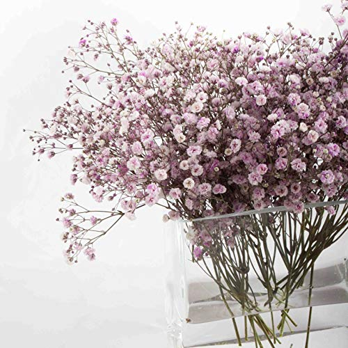 FranquiHogar Vase en verre rectangulaire idéal pour la décoration | Capacité jusqu'à 1,5 l et 15,7 cm de hauteur | Modèle Nimes | Ustensiles de maison transparent