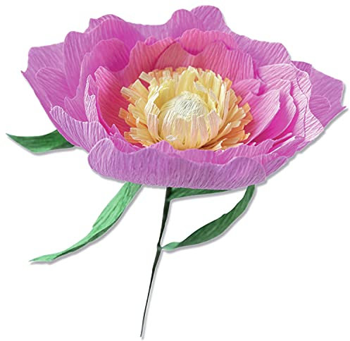 Sizzix Thinlits Matrizenset 5PK Wild Peony von Lisa Jones, 664926, Kunststoff, Multicolor, Einheitsgröße