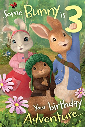Peter Rabbit PE013 3rd Birthday Card Multi Colour
