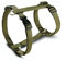 Wolters Geschirr Professional für Mops & Co., Größe:L 50-80 cm x 20 mm, Farbe:Olive